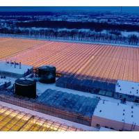 Buy cheap Customization Snow Vibrator Greenhouse for Tomato Planting Request Your product