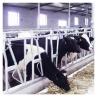 Buy cheap 1.2m/Cow Cow Head Lock from wholesalers