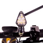 36v Folding Electric Bike E Cycle 16 Inch 14 Inch 250w 10Ah RICH BIT 619