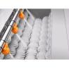 Buy cheap Nylon Roller Brush For Fruit And Vegetable Cleaning Roller Brush from wholesalers