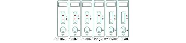 CDV Canine Distemper Virus Pet Rapid Test Kit 10Tests/Kit GMP ISO9001