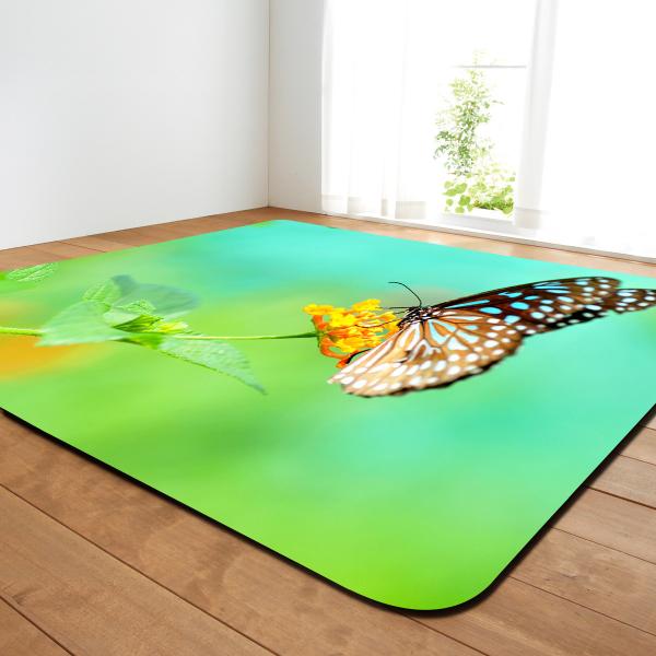 Buy cheap Butterfly Living Room Floor Carpets Large Dining Room Rugs Machine Washable from wholesalers