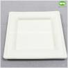 Buy cheap China Facotry Wholesale Sugarcane Pulp Square Plate-6 Inch/8inch/10inch,100% Biodegradable Disposable Square Party Plate from wholesalers