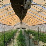 100% Dark Out Shading Automated Light Deprivation System 30-45ft