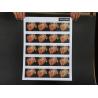 Buy cheap PET White Radiology Inkjet Printing Film A3 Plus Endoscopic Ultrasound Image X Ray Film from wholesalers