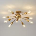 Nordic black Chandeliers LED 10 Lights For Simple Household Indoor sputnik