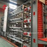 Factory Price On Professional Fully Automatic Chicken Cage Equipment For Chicken