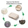 Buy cheap Sugarcane Pulp Lunch Takeaway Bento Box 4 5 Compartment Biodegradable Disposable from wholesalers