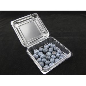 Wholesale 125g Blueberry Clamshell Plastic Packaging Boxes Impact Resistance from china suppliers