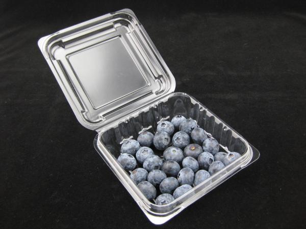 Buy cheap 125g Blueberry Clamshell Plastic Packaging Boxes Impact Resistance from wholesalers