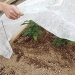Light Weight 3% UV Agricultural Non Woven Crop Cover Plant Frost Protection