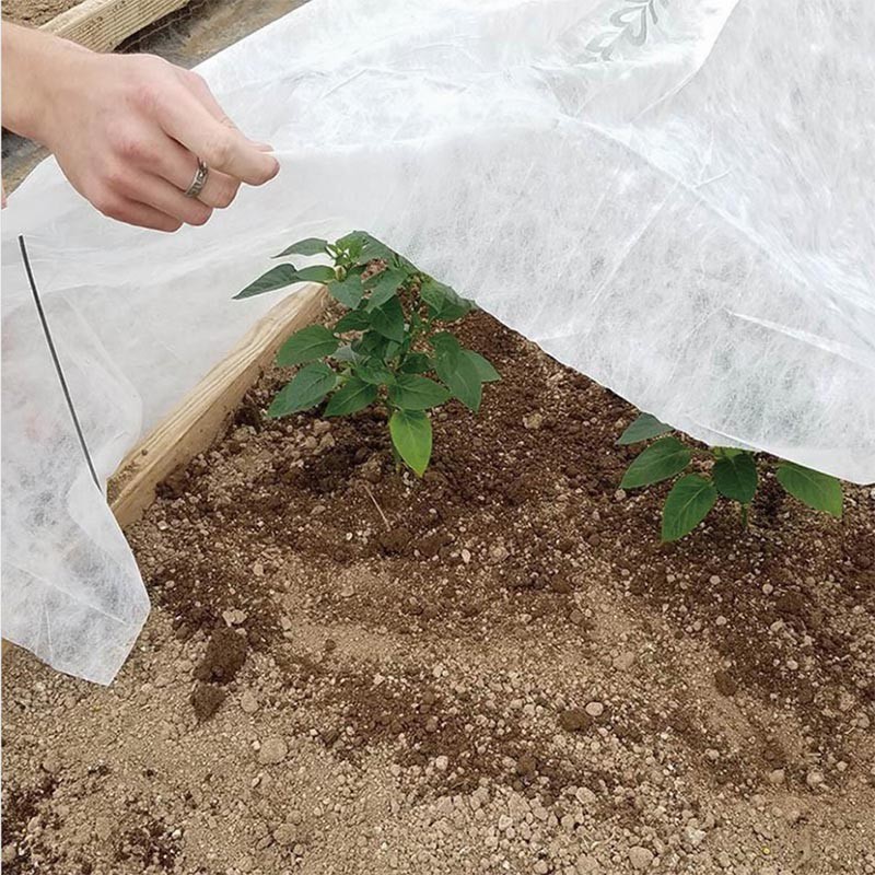 200gsm Spunbond Non Woven Fabric Agro Sheet Vegetable Freeze Protection For Outdoor Plant Cover