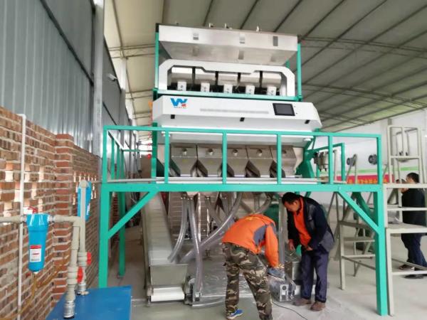 Buy cheap Yellow Lentils Beans Color Sorter Taiwan Meanwell Power Source from wholesalers