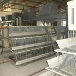 Q235 Steel Battery Cage Automatic Poultry Feeding System 65x125x222cm Size