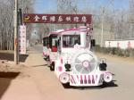 42 Seats Electric Trackless Train Electric Sightseeing Car Regent Style
