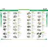 Buy cheap 12V 1.4KW 12T Excavator Starter Ship Engine Motor 4280007860 4380000410 4380001000 4380002220 4380002930 DL3T11000AA from wholesalers