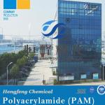 Water Treatment Chemical Cationic Polymer Flocculant Polyacrylamide