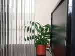 Reed Textured Glass Bathroom Panels For Doors Window 7mm 8mm Nashiji