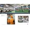 Buy cheap Trunnion Mounted Class 150 to 2500  CS SS AS Duplex Stainless  API 6D Ball Valve from wholesalers