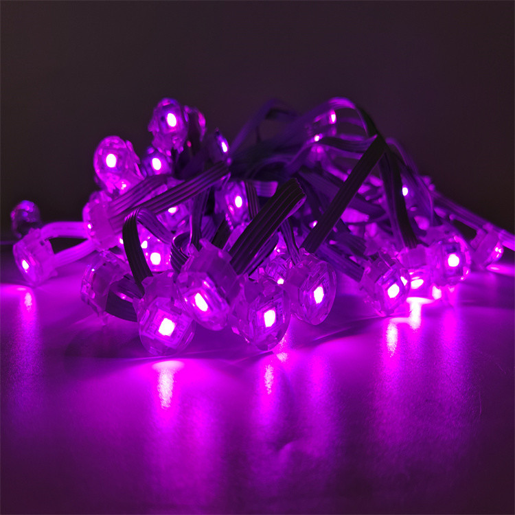 Dimmable 24V RGBW LED Eaves Lights The Perfect Outdoor Christmas Lighting Solution