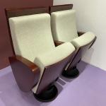Concealed Cinema Chair Auditorium Theater Seating System
