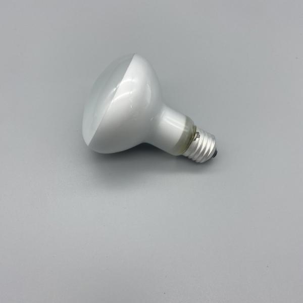Buy cheap Bearded Dragon Night Lamp 100W Night Heat Lamp For Lizards Iguanas from wholesalers