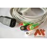Buy cheap Electrocardiogram EKG Cable Zoll 12 Lead Cable For Zoll E Series, M Series from wholesalers