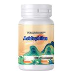 Non GMO Organic Acidophilus Probiotic Supplement for Optimal Digestion