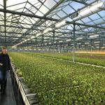 Corrosion Resistance Agriculture Solar Energy Greenhouse 2.0mm 2.5mm Thickness