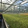 Buy cheap Corrosion Resistance Agriculture Solar Energy Greenhouse 2.0mm 2.5mm Thickness from wholesalers
