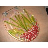 Buy cheap color toilet seat,17'18'19'Uropean standard,USA stardard,dried flower design product