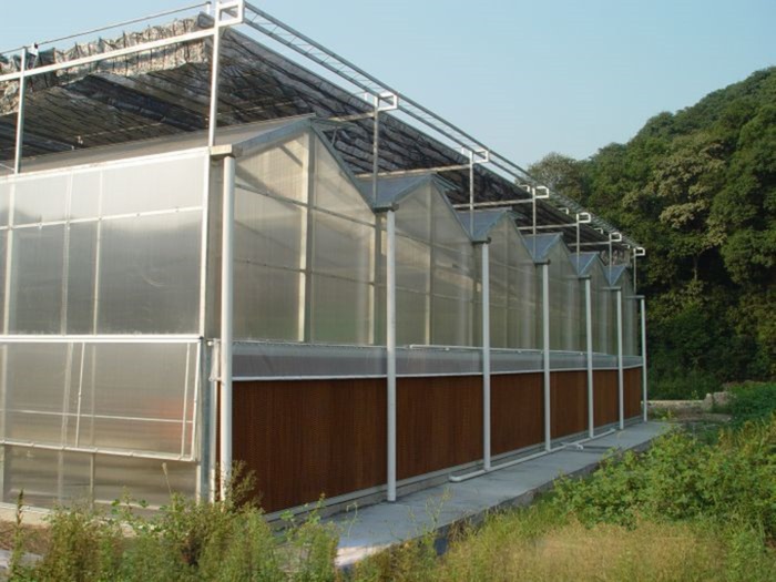 Sturdy And Large Greenhouse Agriculture Polycarbonate With Galvanized Steel Frame