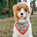 Colorful Blank Dog Bandanas Bib Kerchief Adjustable Cat Collar