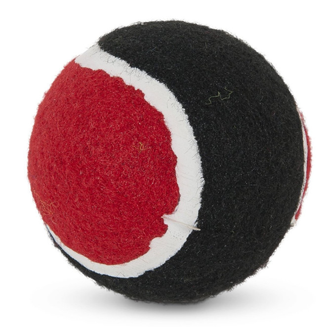 Zoink Tennis Balls Dog Toys - 2 pack