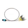 Buy cheap FTTH Multimode MTP LC Fiber Optic Patch Cable Ferrule OM3 OM4 12 Fibers 0.7mm 0.5m from wholesalers