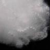 Buy cheap Hollow Hard Cotton Low Melting Fiber 15D 64mm Solid Staple Polyester Fibre from wholesalers