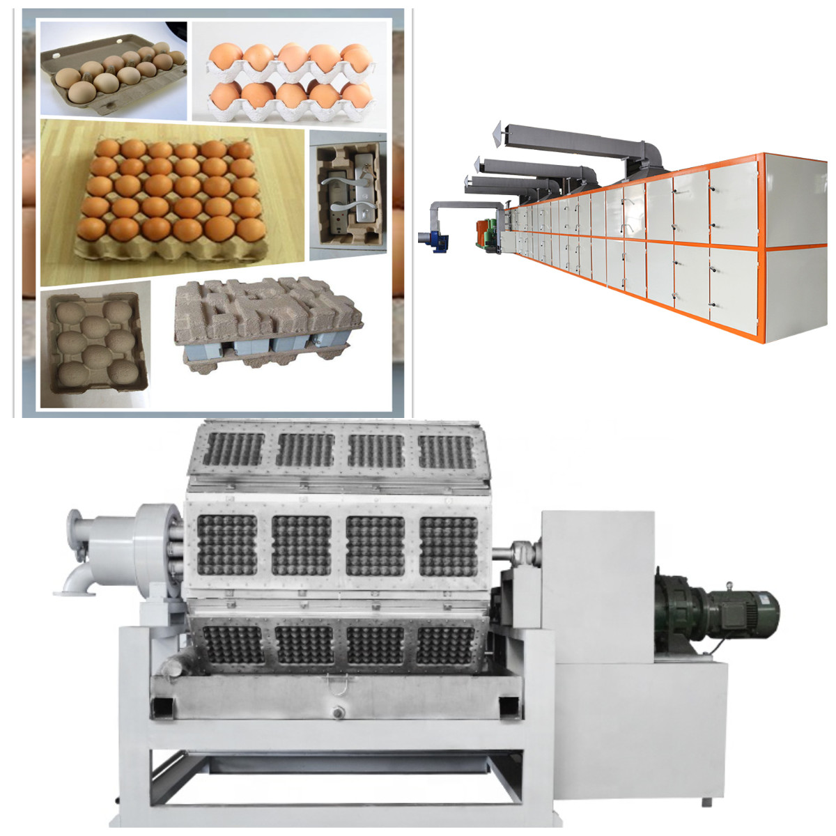 Rotary Egg Tray Making Machine For Paper Egg Carton And Apple Tray