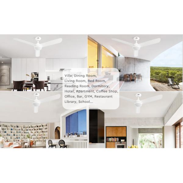 ceiling fan ceiling fan