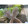 Buy cheap Polyethylene Kitchen Disposable HDPE Gloves For Food Processing from wholesalers