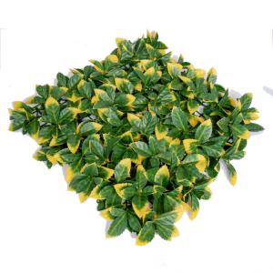 Buy cheap Customized Plastic Plant Artificial Green Walls Enviromental Friendly from wholesalers