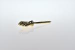 Color Customized Coffin Screw / Nail SC-01 Gold Color Coffin Lid Decoration
