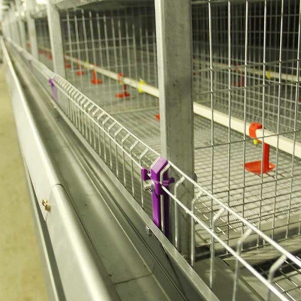Buy cheap Automatic Cage For Chicks , 264 Birds Capacity Layer Poultry Farm Cage from wholesalers