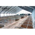 ISO9001 2008/CE/BV Certified Prefabricated Steel Beams H Beams Livestock Shed