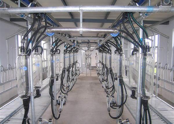 Buy cheap Layout Compact Milking Equipment Herringbone Milking Parlor For Goat Farm from wholesalers