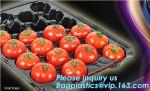 PET Plastic Vegetable Plant Grow Seedling Bed Trays Nursery Plug Tray,128 holes