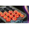 Buy cheap plastic nursery tray seedling tray have different numbers cups,Plastic Flowers Seedling Hydroponics Nursery Trays, BIO from wholesalers