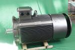 Buy cheap YE3-280S-6-45-380V-IP55-Class F-IM B3 Three Phase Asynchronous Motor LV Variable Frequency from wholesalers