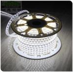 50m 120V 5050 smd strip white led ribbon 60LED/m flexible led strip