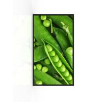 Buy cheap 4000nits IP67 Waterproof Outdoor Led Display Screen Panels 55inch ODM product