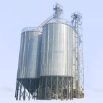 1000 Ton Grain Storage Silo for Rice Paddy Cereal Corn Wheat at Competitive